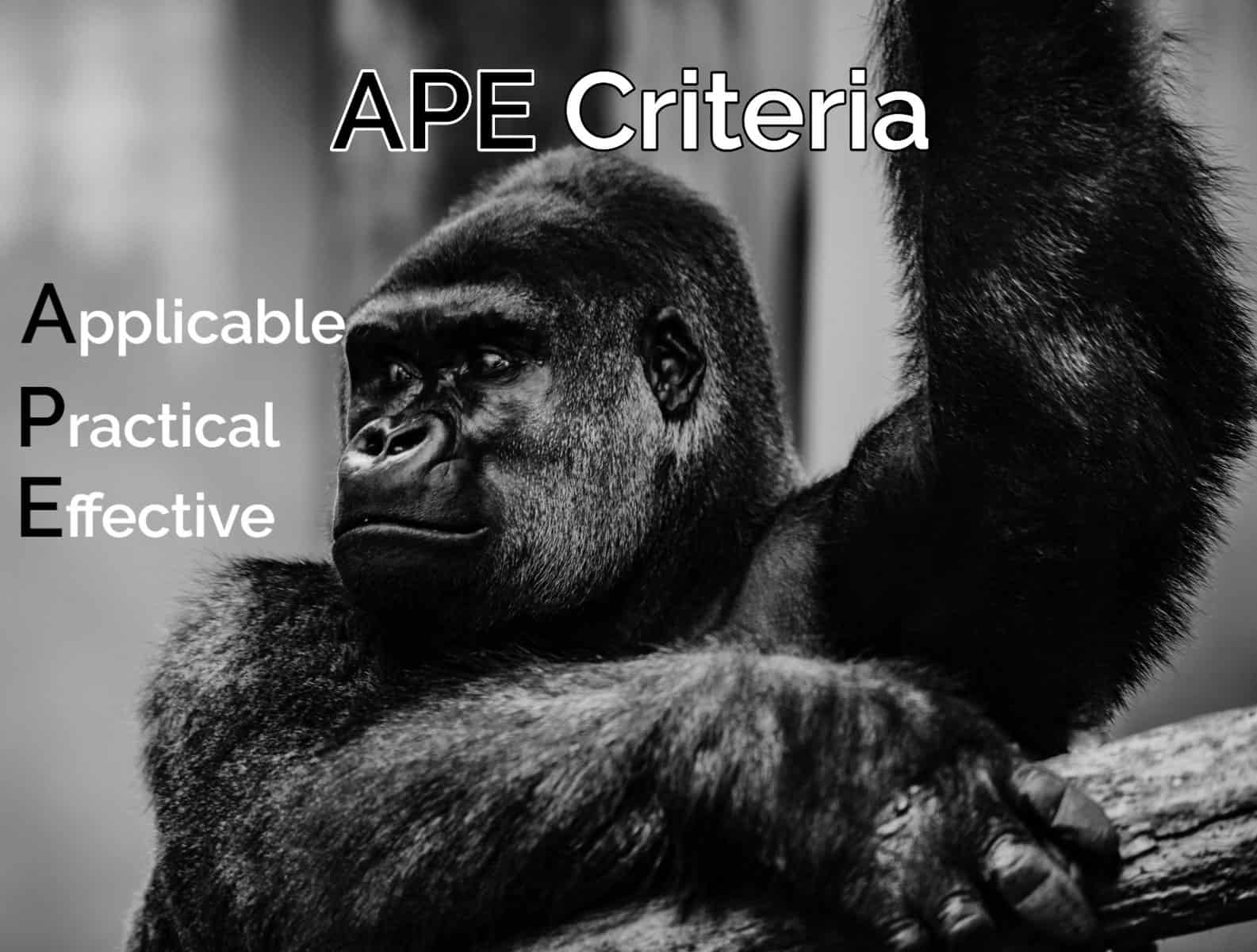 APE: Internet Marketing Criteria for Small Businesses and Startups